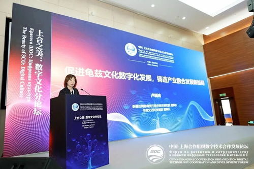 上合之美，數字賦能 推動龜茲文化數字化發展，打造產業融合新格局