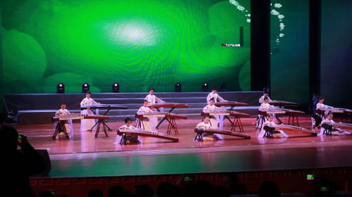 上饒廣播電視臺第六屆少兒春晚節(jié)目選送單位展示 御雅國樂館